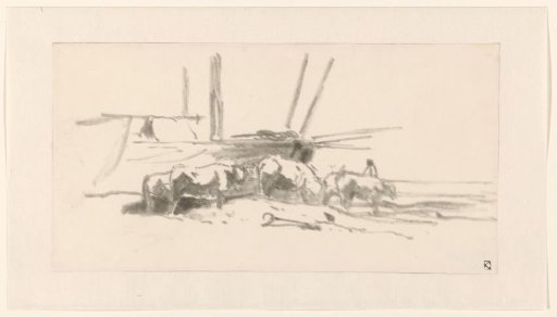 Six oxen, on the beach
