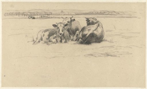 Three Cows Lying Together in a Meadow