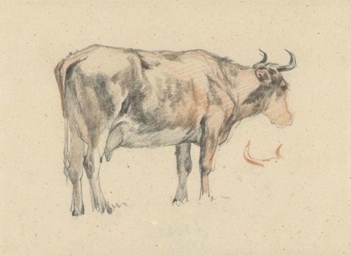 Standing cow, facing right