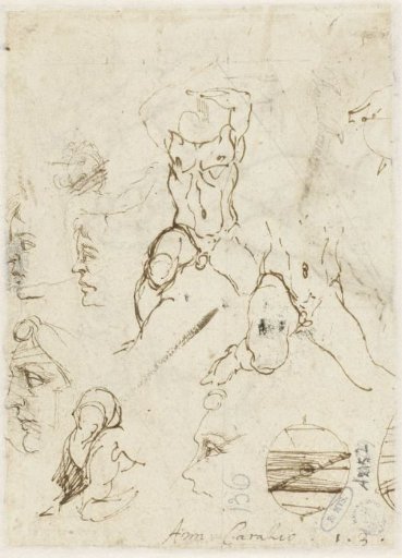 Profile sketches and male nude