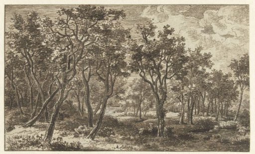 Forest landscape in the estate Zon, near Eindhoven