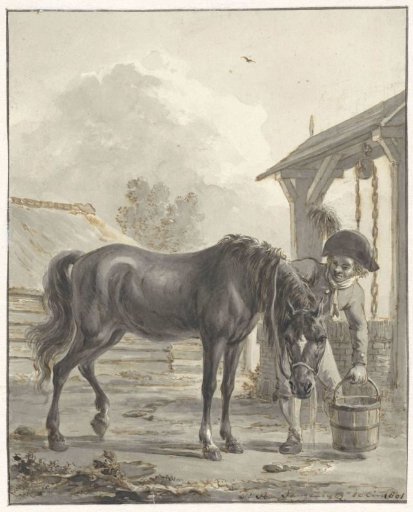 Man letting a horse drink from a bucket
