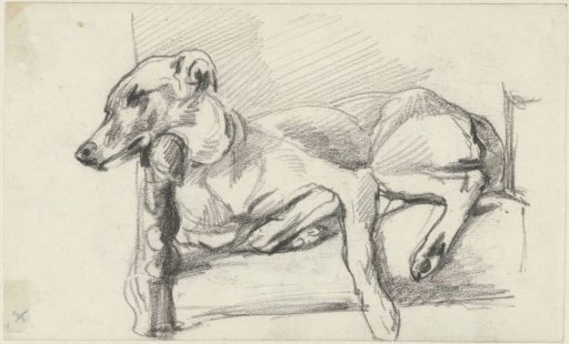 Dog lying on a chair