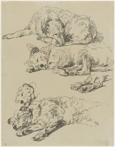 Three studies of a lying dog