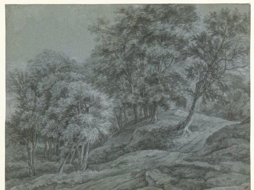 Woodland view