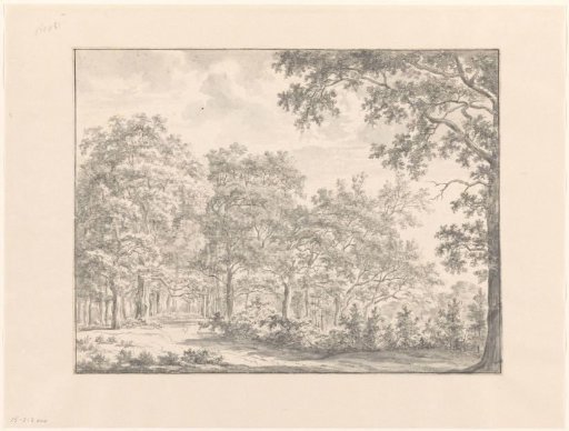 Forest View