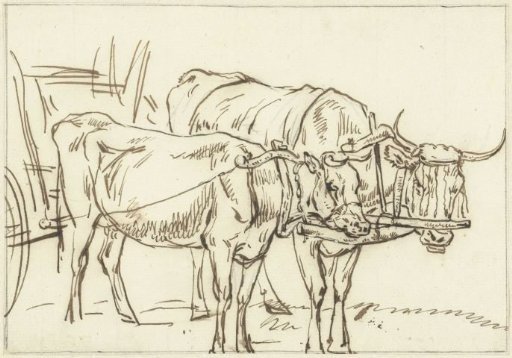 Two oxen yoked to a cart
