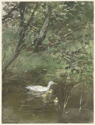 Ducklings in the water