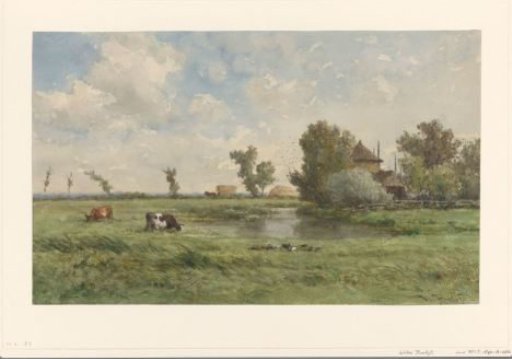 Pasture with cows