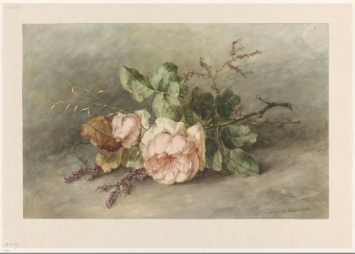 Roses