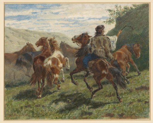 Hungarian rider drives a number of horses into the background