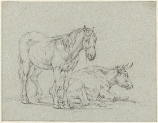 Standing horse and a lying cow
