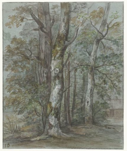 Study of a tree