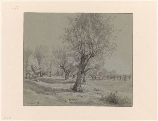 Meadow with pollarded willows