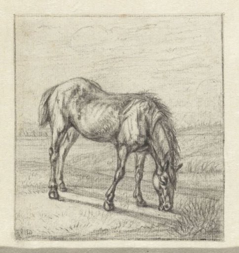 Grazing horse