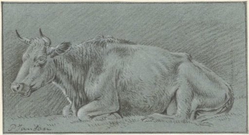 Lying cow