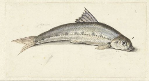 Gondola