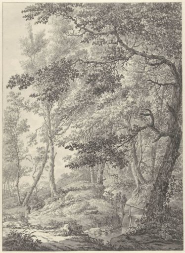 Forest landscape with a wooden footbridge and two walkers