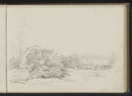 Chickens on a grassy field