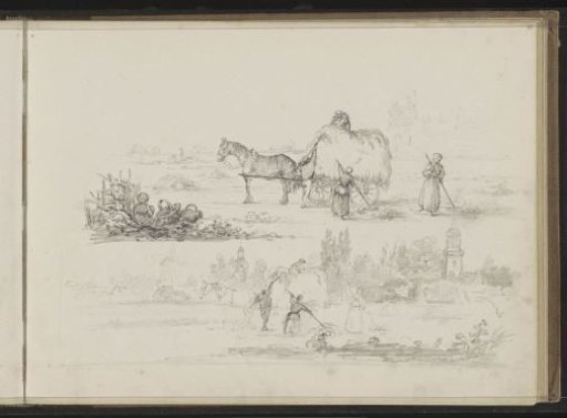 Haymaking in the fields