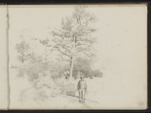 Man with a spade on a forest path