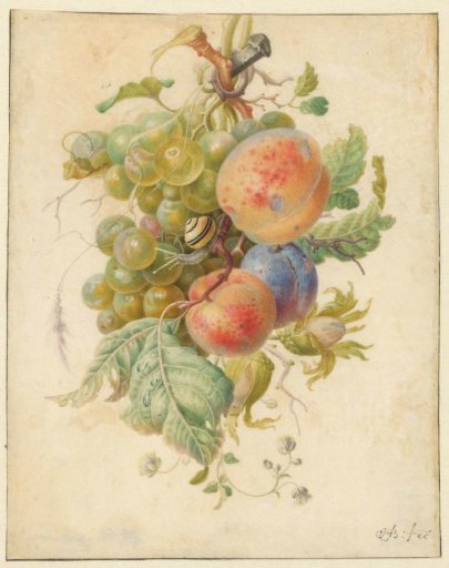 Festoon of Fruit