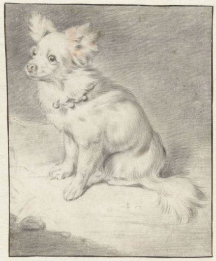 Seated Dog