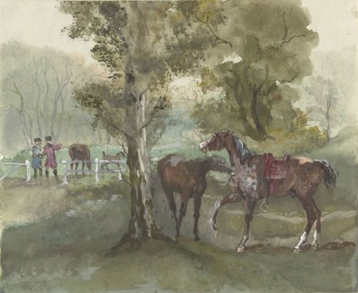 Paarden in de wei