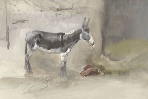 Donkey in a stable