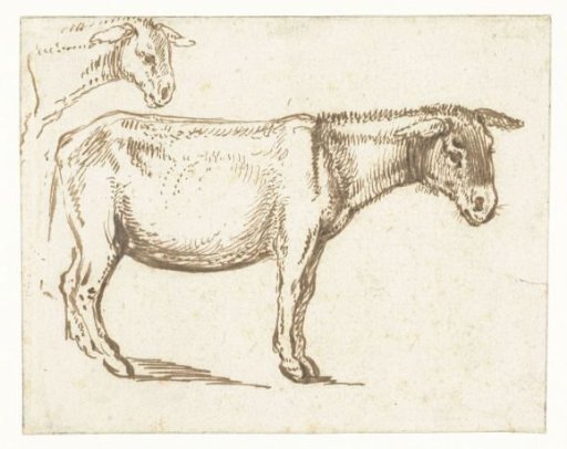 Study of a Standing Donkey