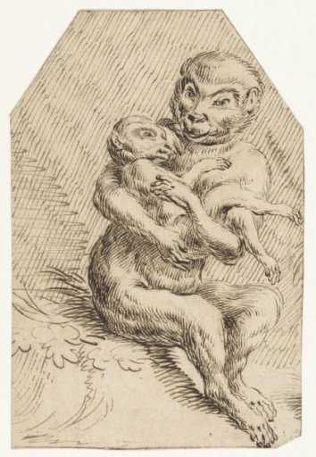 Monkey with a Young Monkey in Its Arms