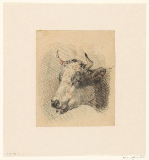 Ox head
