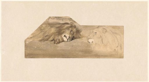 Studies of two lions