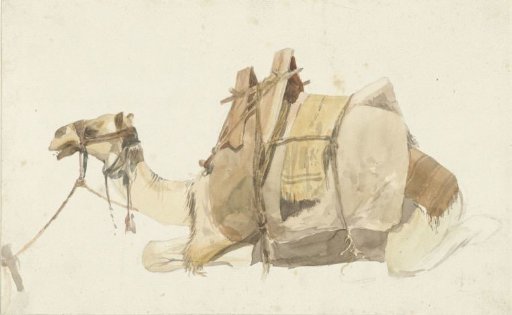 Seated loaded camel