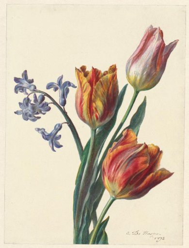 Three tulips and a sprig of hyacinth