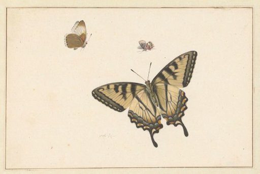 Three Butterflies