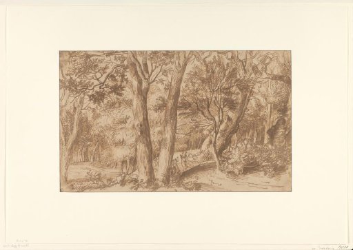 Forest Landscape with a Deer