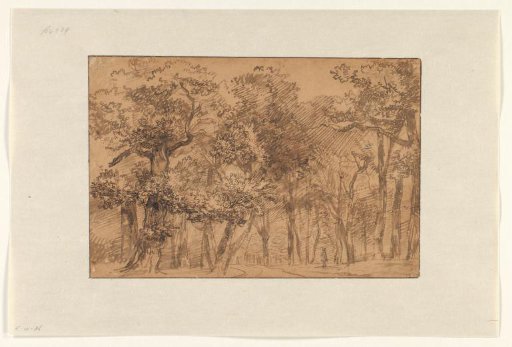 Path Through a Forest