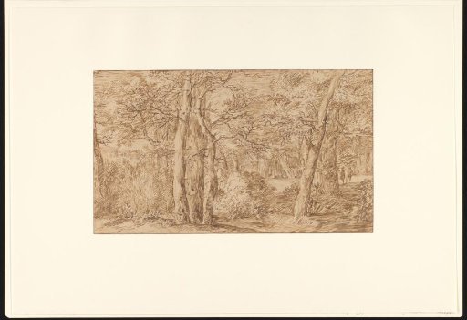 Forest Edge