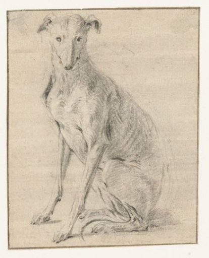 A Sitting Dog, Facing Left, Head Seen from the Front