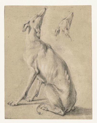 A sitting dog and the head of a dog