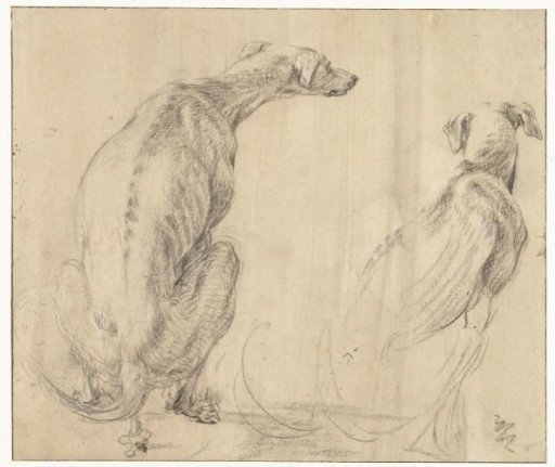 A sitting dog, relieving itself, seen from the side and from the back