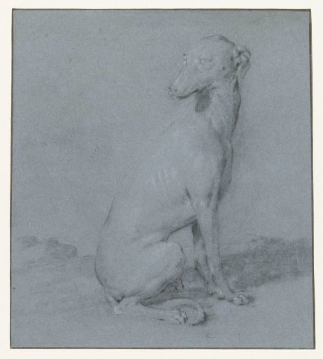 A seated dog, seen from the side