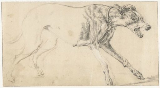 Dog in rapid motion