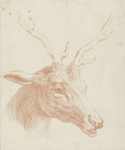 Head of a deer