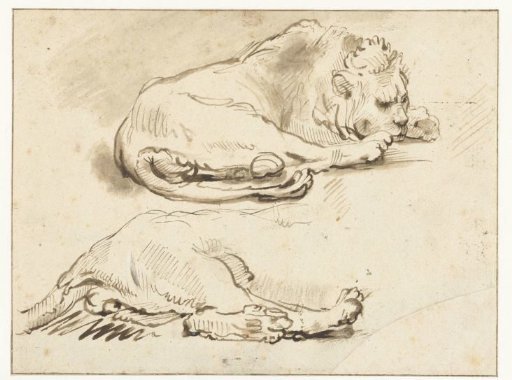 Lion at Rest and Sketch of its Hind Quarters