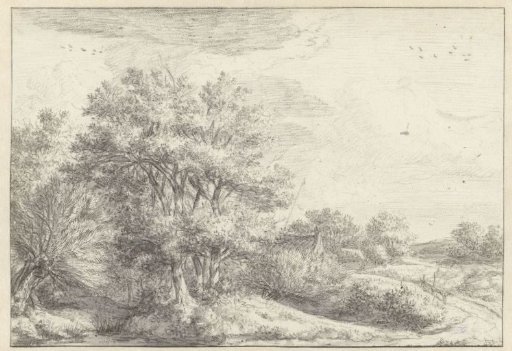 Wooded Landscape
