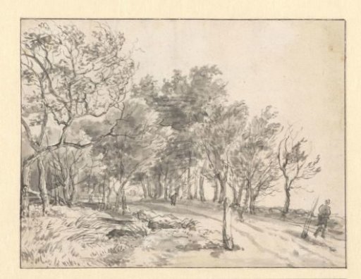Road through a Wooded Landscape