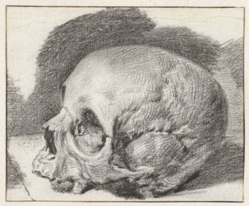 Study of a Skull, Facing Left