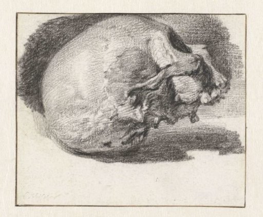Study of a Skull, Facing Right